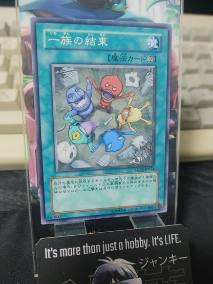 Yu-Gi-Oh ANPR-JP054 Solidarity Yugioh Card Japan Release