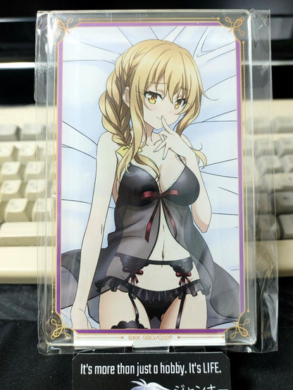 Goblin Slayer Animation Acrylic Stand Guild Girl Accessory Japan Limited