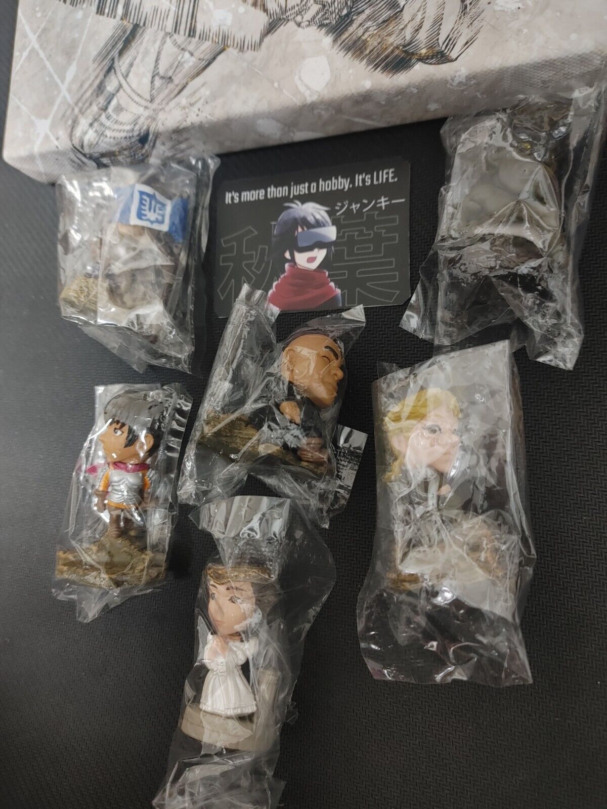 Berserk Manga Anime Kentaru Miura Canvas 6x figure set Japan Limited Edition