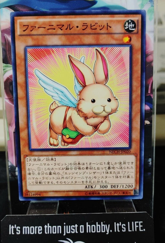 Yu-Gi-Oh NECH-JP020 Fluffal Rabbit Yugioh Card JAPAN