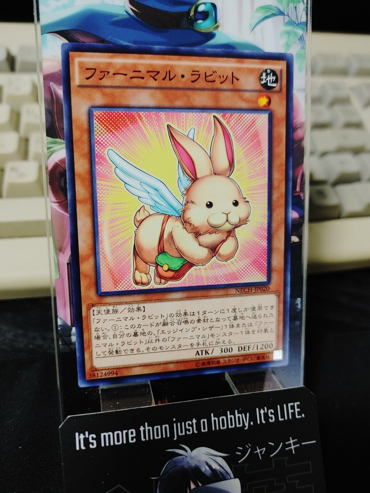 Yu-Gi-Oh NECH-JP020 Fluffal Rabbit Yugioh Card JAPAN