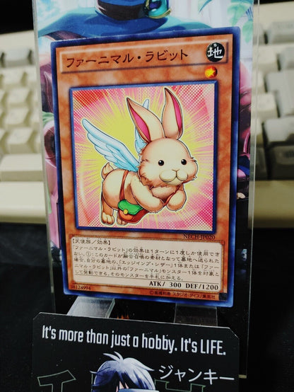 Yu-Gi-Oh NECH-JP020 Fluffal Rabbit Yugioh Card JAPAN