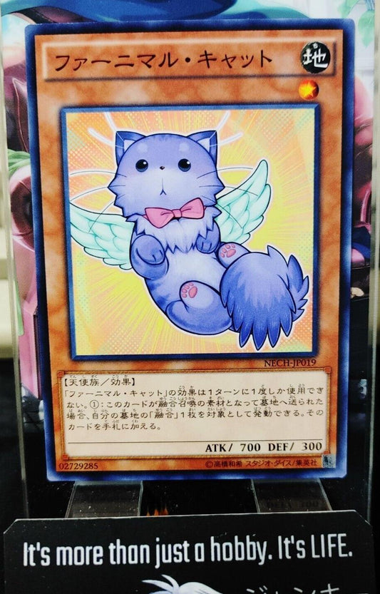 Yu-Gi-Oh NECH-JP019 Fluffal Cat Yugioh Card JAPAN