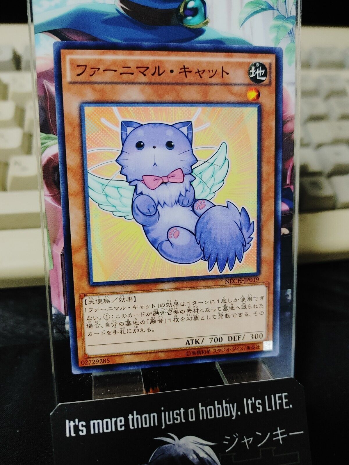 Yu-Gi-Oh NECH-JP019 Fluffal Cat Yugioh Card JAPAN