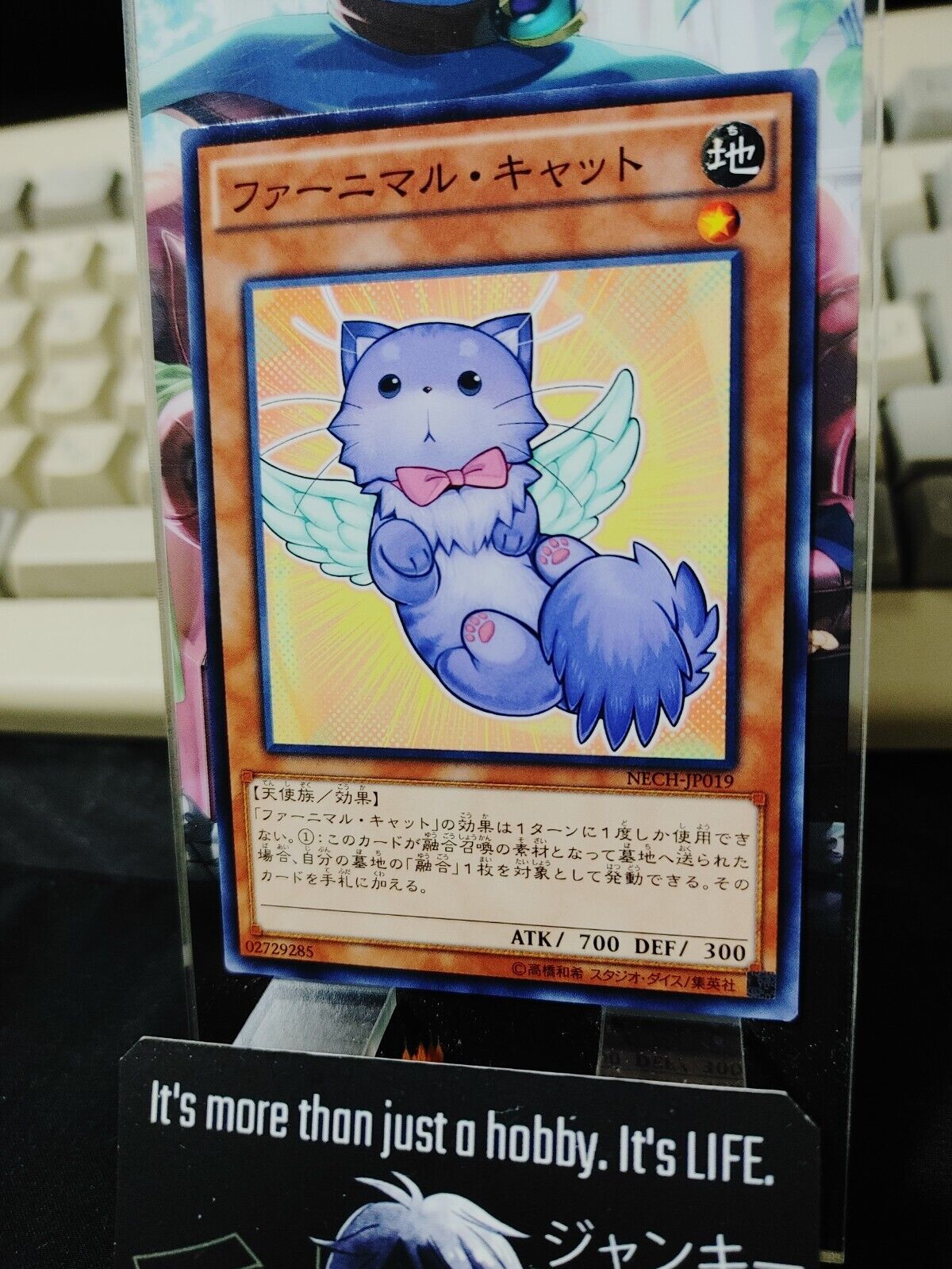 Yu-Gi-Oh NECH-JP019 Fluffal Cat Yugioh Card JAPAN