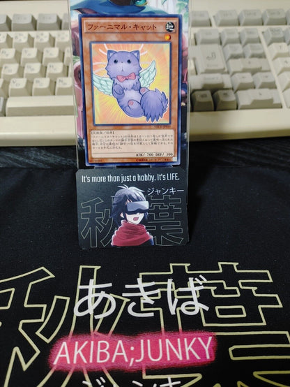 Yu-Gi-Oh NECH-JP019 Fluffal Cat Yugioh Card JAPAN