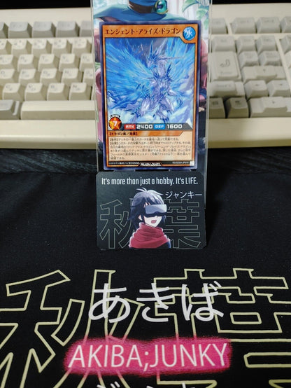 Yugioh RD/SD0A-JP010 Ancient Arise Dragon Yu-Gi-Oh Rush Duel JAPAN