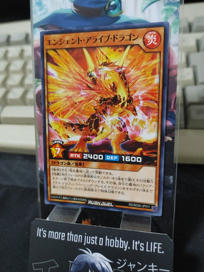 Yugioh RD/SD0A-JP011 Ancient Arrive Dragon Yu-Gi-Oh Rush Duel JAPAN