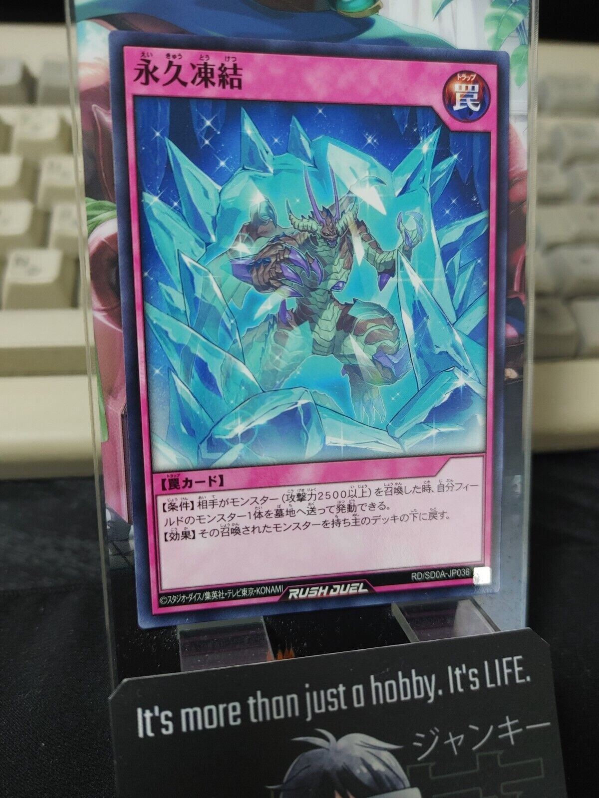 Yugioh RD/SD0A-JP036 Eternal Freeze Yu-Gi-Oh Rush Duel JAPAN