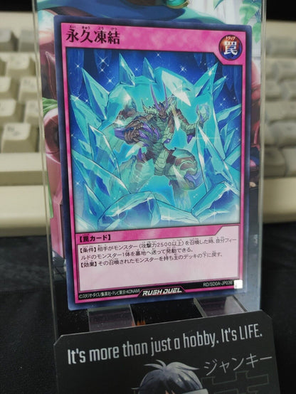 Yugioh RD/SD0A-JP036 Eternal Freeze Yu-Gi-Oh Rush Duel JAPAN