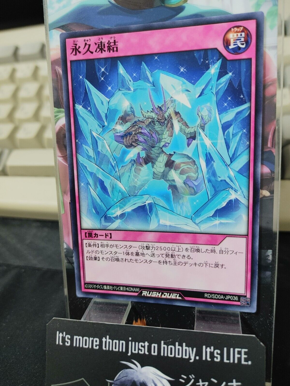 Yugioh RD/SD0A-JP036 Eternal Freeze Yu-Gi-Oh Rush Duel JAPAN