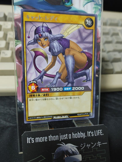 Yugioh RD/KP10-JP016 Nekogal #2 Rare Rush Duel JAPAN UNCENSORED