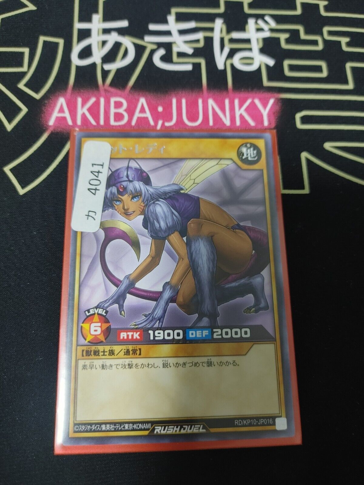 Yugioh RD/KP10-JP016 Nekogal #2 Rare Rush Duel JAPAN UNCENSORED