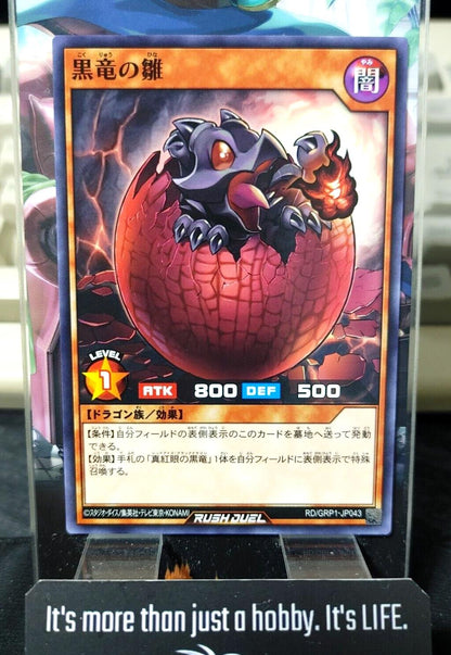 Yugioh RD/GRP1-JP043 Black Dragon's Chick Rush Duel JAPAN