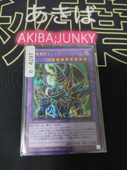 Dark Paladin 15AX-JPY38 Yu-Gi-Oh Secret Rare Yugioh OCG JAPAN