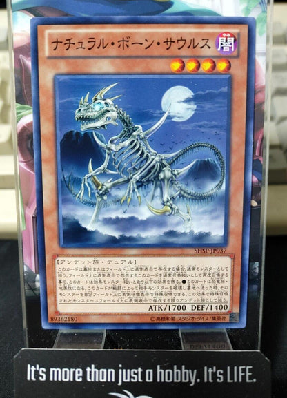 Skelesaurus SHSP-JP037 Yu-Gi-Oh Yugioh Japanese Konami OCG JAPAN