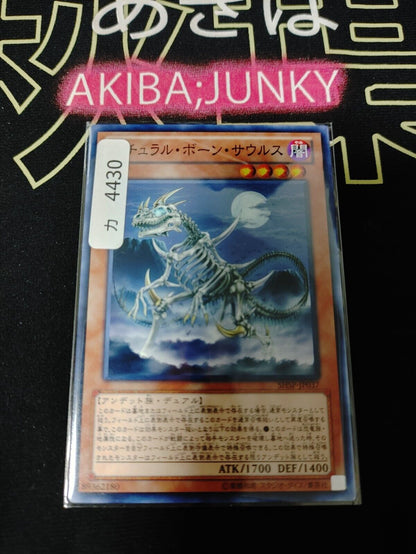 Skelesaurus SHSP-JP037 Yu-Gi-Oh Yugioh Japanese Konami OCG JAPAN