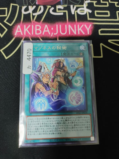 Yu-Gi-Oh DP27-JP036 Amazoness Secret Technique Rare Yugioh OCG JAPAN