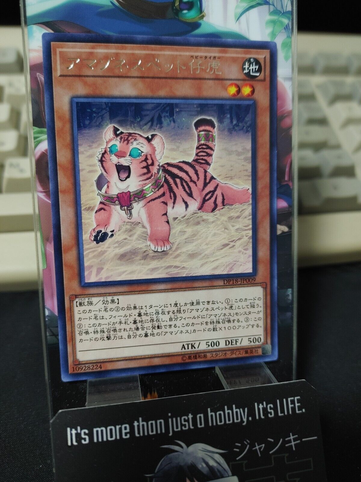 Amazoness Baby Tiger Yugioh DP18-JP009 Rare Yu-Gi-Oh JAPAN