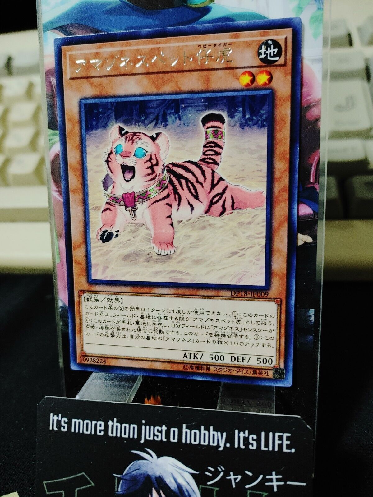 Amazoness Baby Tiger Yugioh DP18-JP009 Rare Yu-Gi-Oh JAPAN