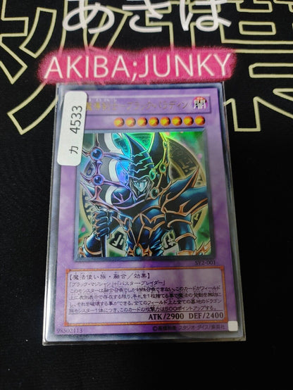 Dark Paladin Yugioh SY2-001 Ultra Rare Yu-Gi-Oh OCG JAPAN