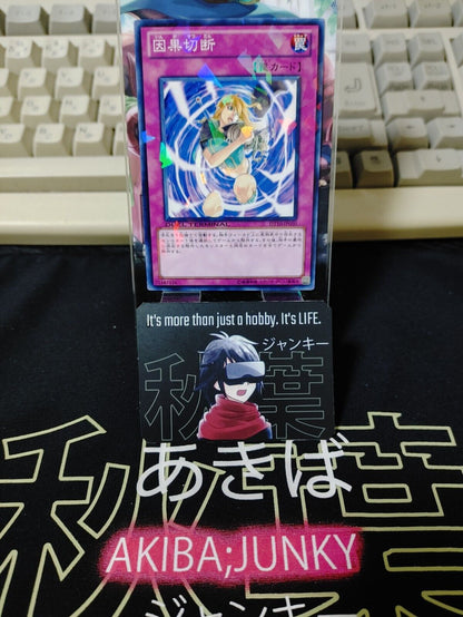 Karma Cut DT10-JP050 Holo Yu-Gi-Oh OCG Yugioh JAPAN