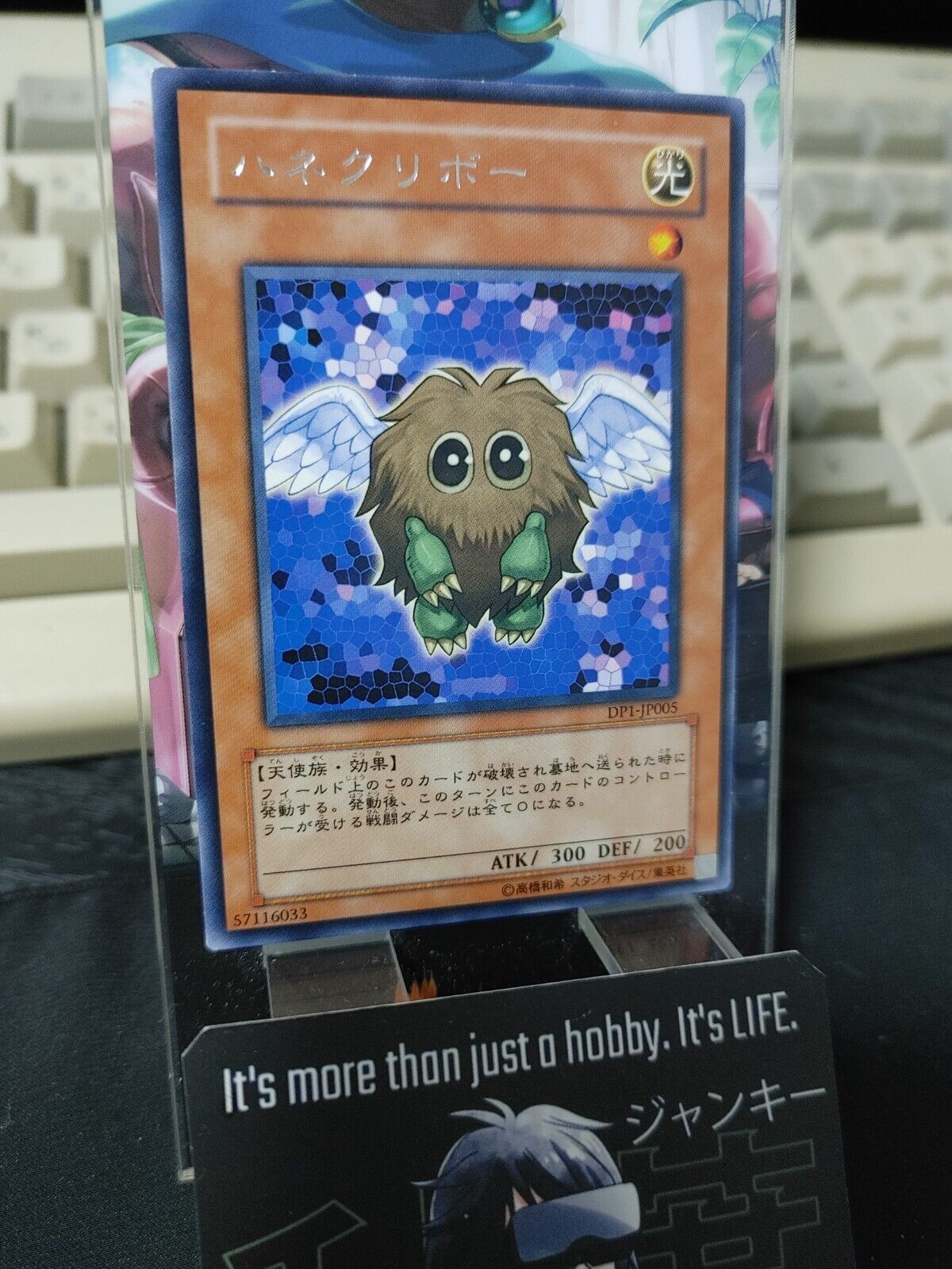 Winged Kuriboh DP1-JP005 Rare Yu-Gi-Oh Konami Yugioh OCG Japan