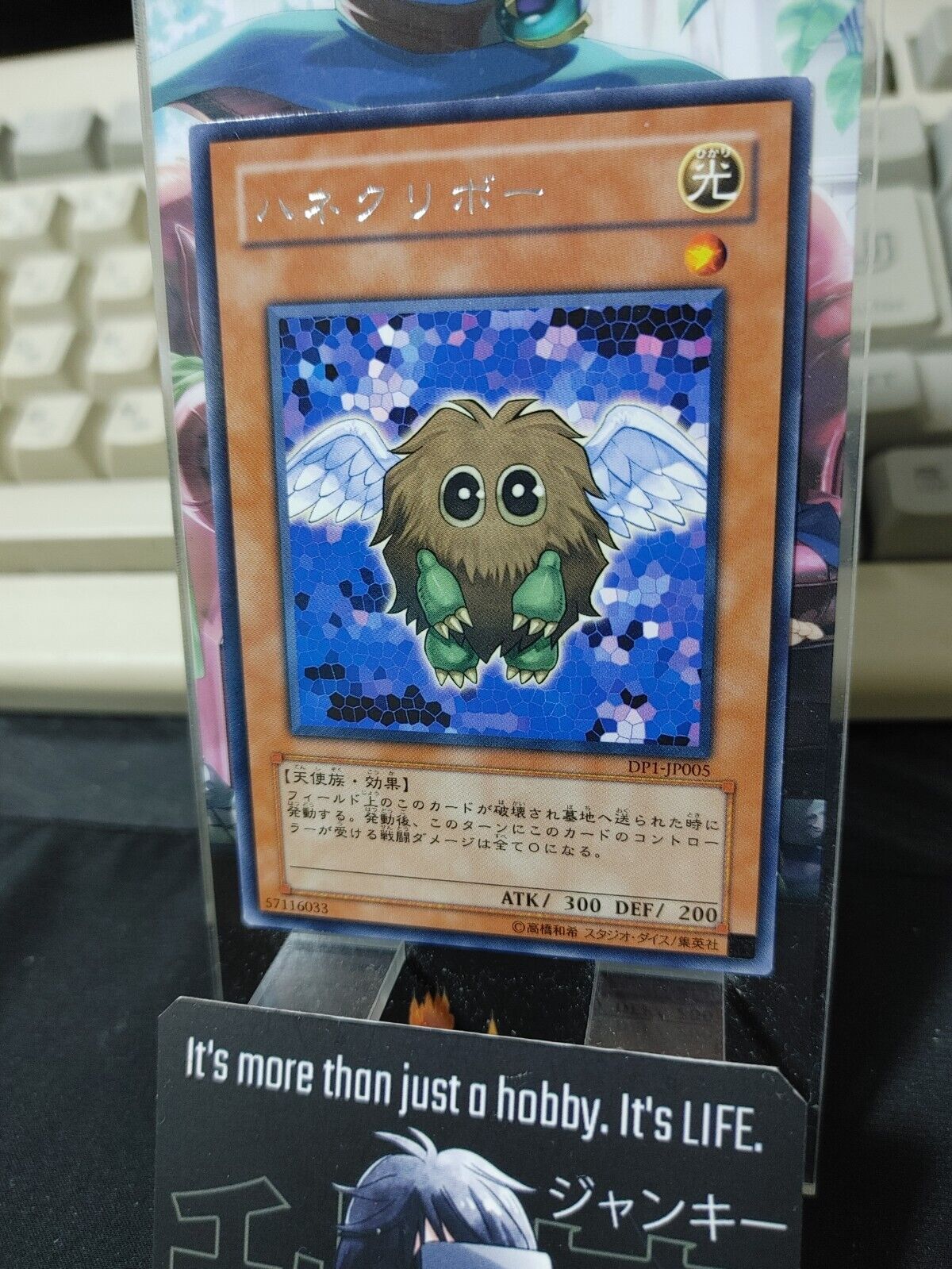 Winged Kuriboh DP1-JP005 Rare Yu-Gi-Oh Konami Yugioh OCG Japan