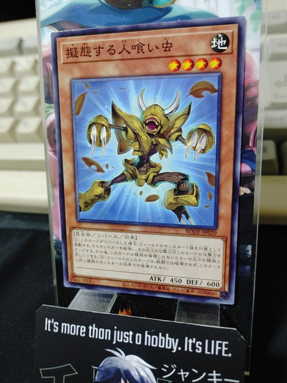 Mimetizing Man-Eater Bug BODE-JP029 Yu-Gi-Oh Yugioh OCG JAPAN