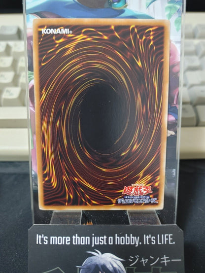 Magician's Combination DP23-JP005 Rare Yu-Gi-Oh Yugioh OCG UNCENSORED JAPAN