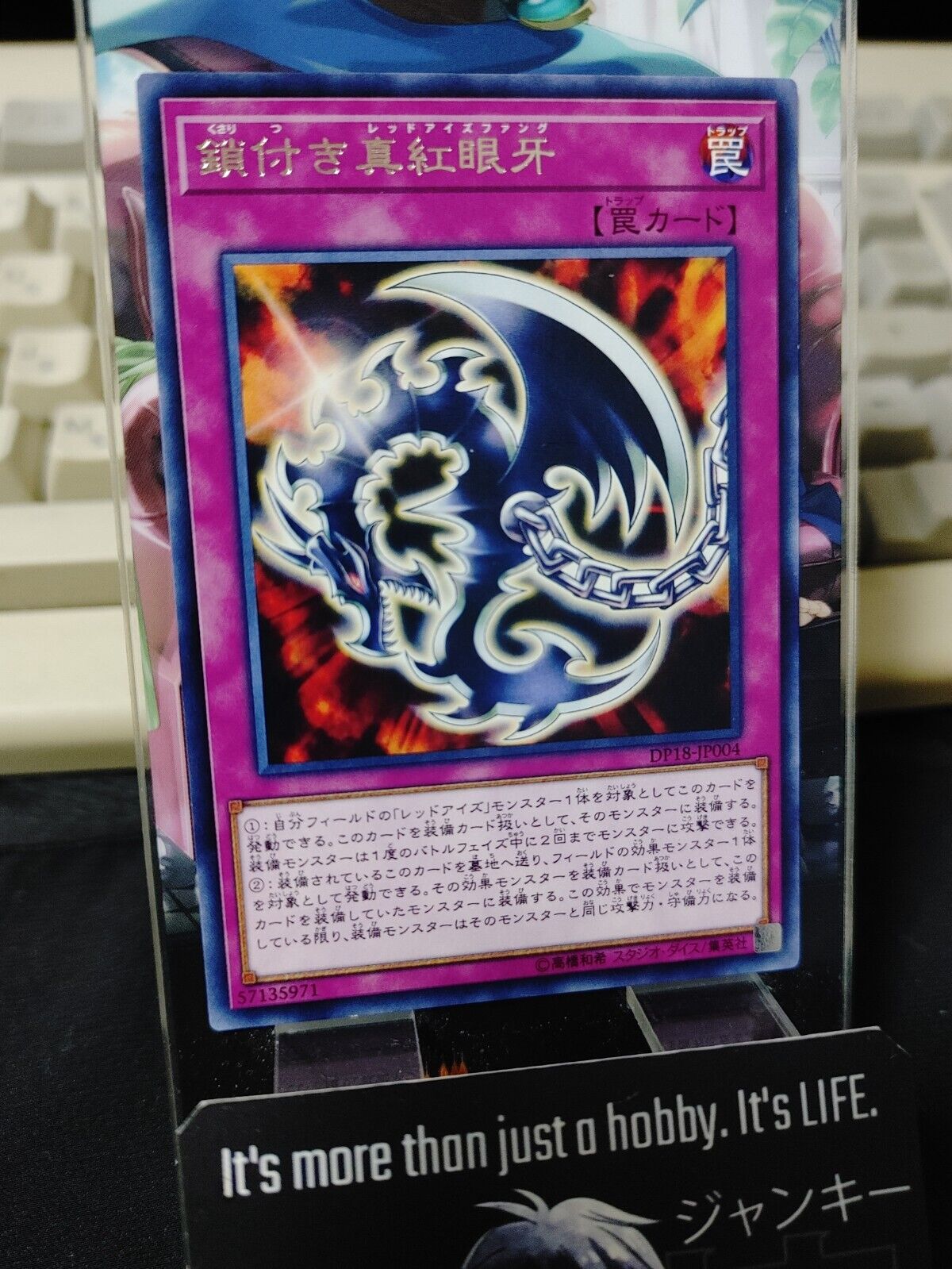 Red-Eyes Fang with Chain DP18-JP004 Rare Yugioh OCG JAPAN