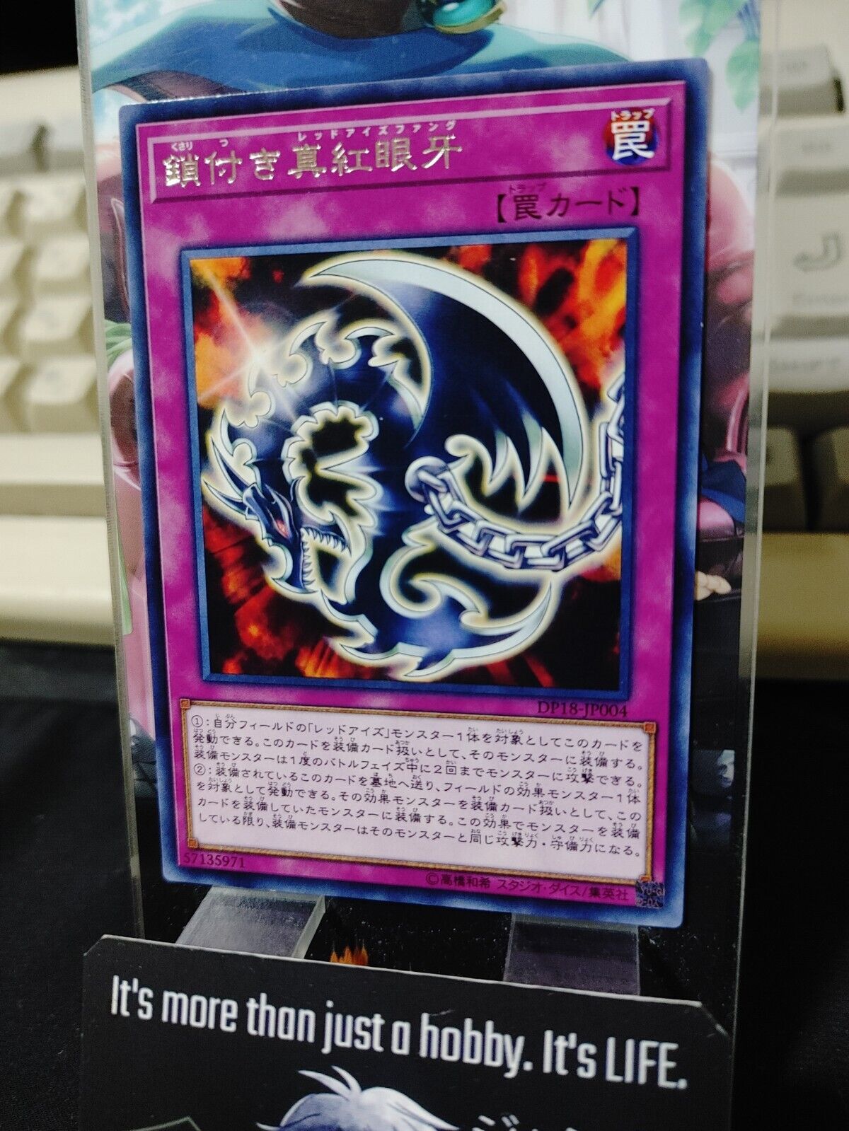 Red-Eyes Fang with Chain DP18-JP004 Rare Yugioh OCG JAPAN