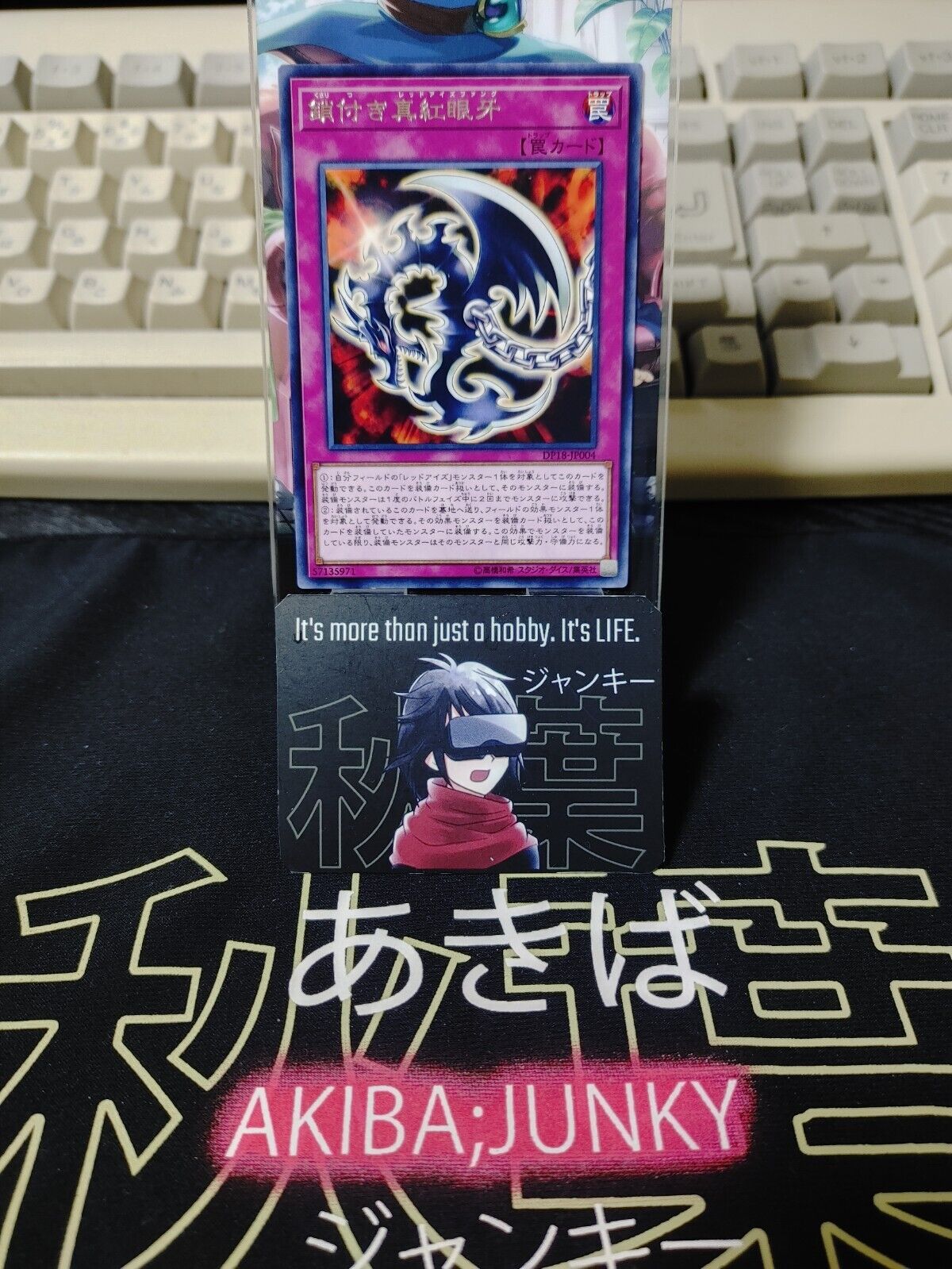 Red-Eyes Fang with Chain DP18-JP004 Rare Yugioh OCG JAPAN