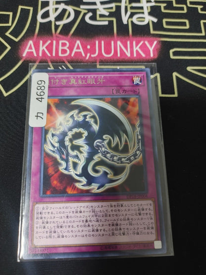 Red-Eyes Fang with Chain DP18-JP004 Rare Yugioh OCG JAPAN