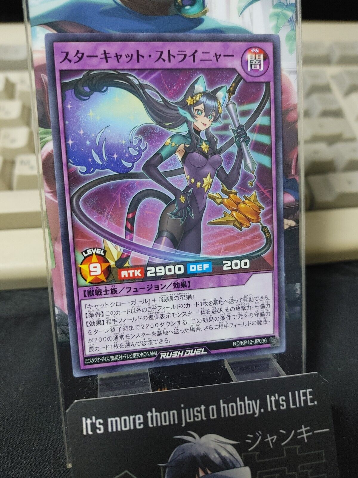 RD/KP12-JP036 Star Cat Straynya Yu-Gi-Oh Rush Duel JAPAN