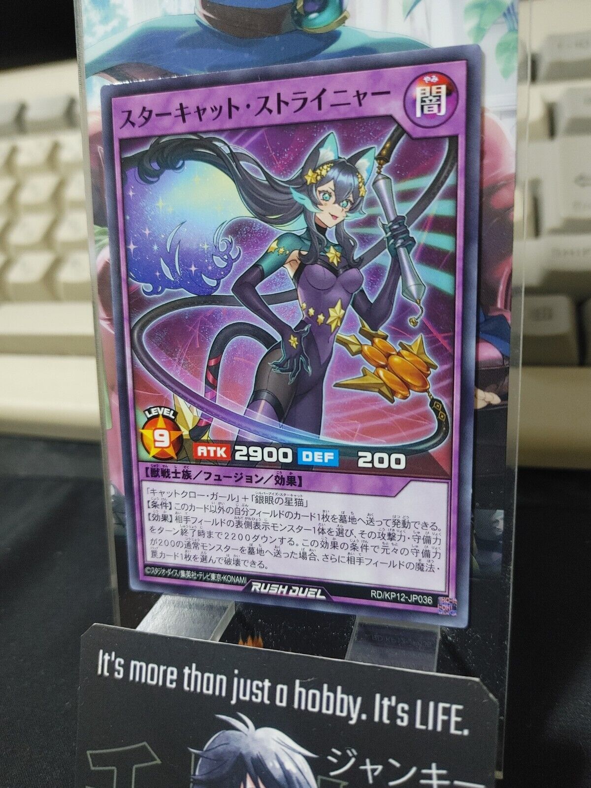 RD/KP12-JP036 Star Cat Straynya Yu-Gi-Oh Rush Duel JAPAN