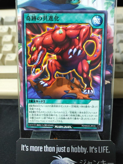 RD/MAX2-JP016 Miraculous Coevolution Yu-Gi-Oh Rush Duel JAPAN