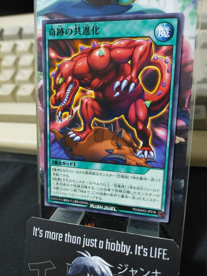 RD/MAX2-JP016 Miraculous Coevolution Yu-Gi-Oh Rush Duel JAPAN