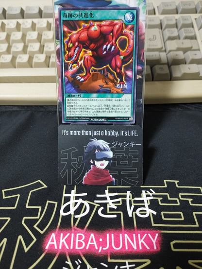 RD/MAX2-JP016 Miraculous Coevolution Yu-Gi-Oh Rush Duel JAPAN