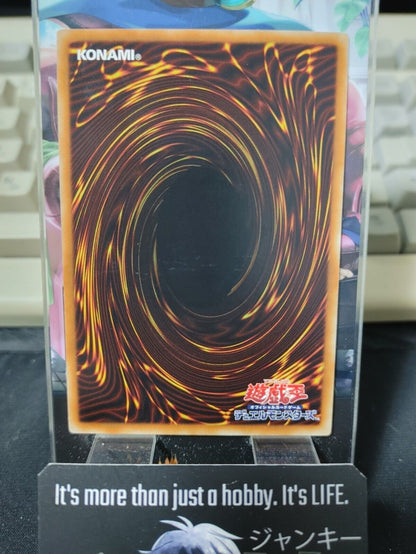 Spirit Message A/N DP17-JP042 Yu-Gi-Oh Yugioh OCG JAPAN UNCENSORED