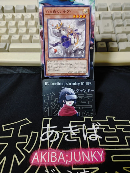 Silve of the White Woods INFO-JP015 Yugioh OCG JAPAN