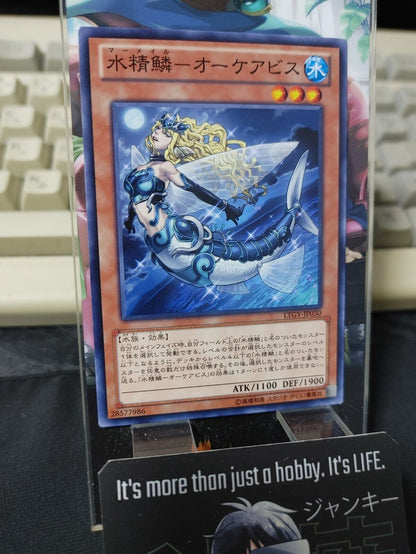 Mermail Abyssocea LTGY-JP030 Yugioh OCG JAPAN UNCENSORED