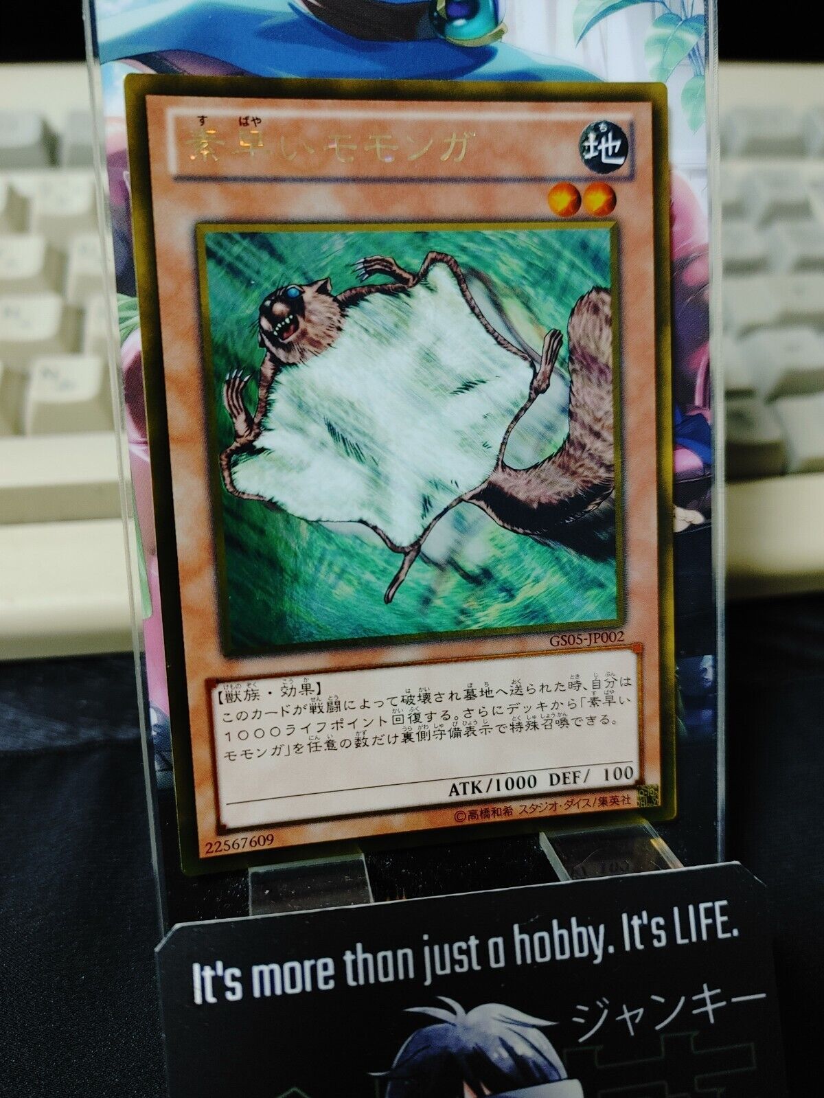 Nimble Momonga GS05-JP002 Gold Rare Yugioh OCG JAPAN