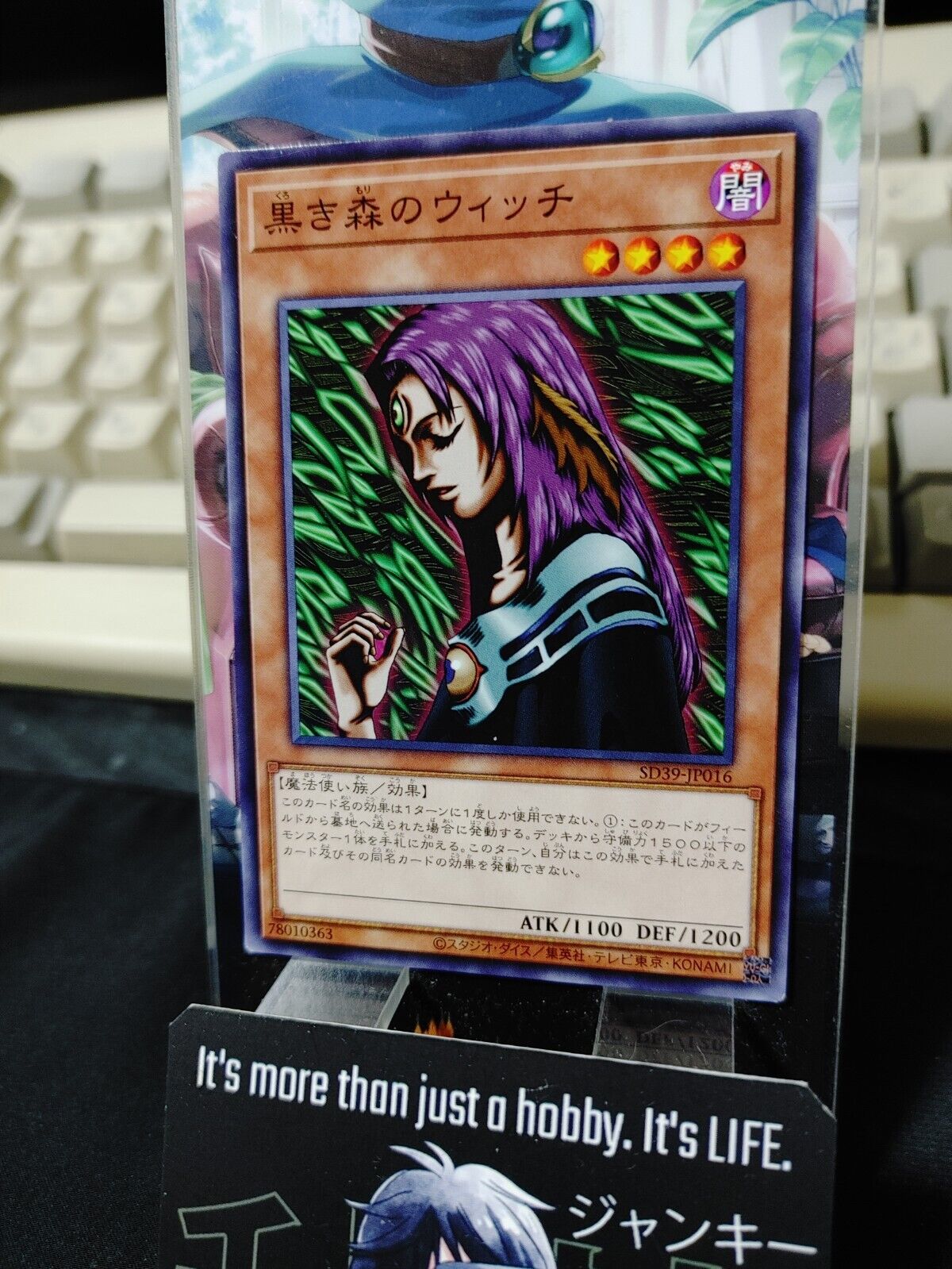 Witch of the Black Forest SD39-JP016 Yugioh OCG Yu-Gi-Oh JAPAN