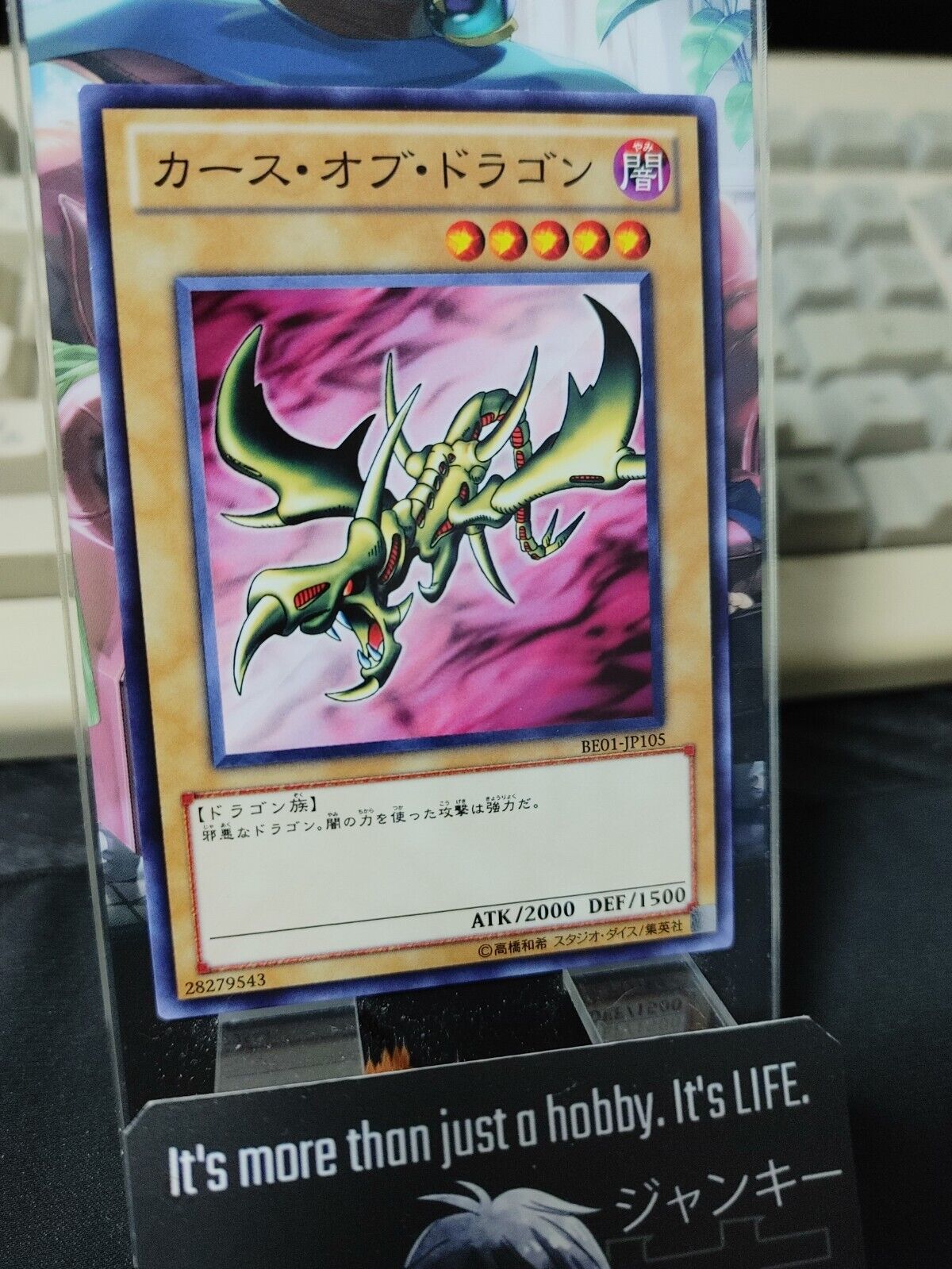 Curse of Dragon BE01-JP105 Yugioh OCG Yu-Gi-Oh JAPAN