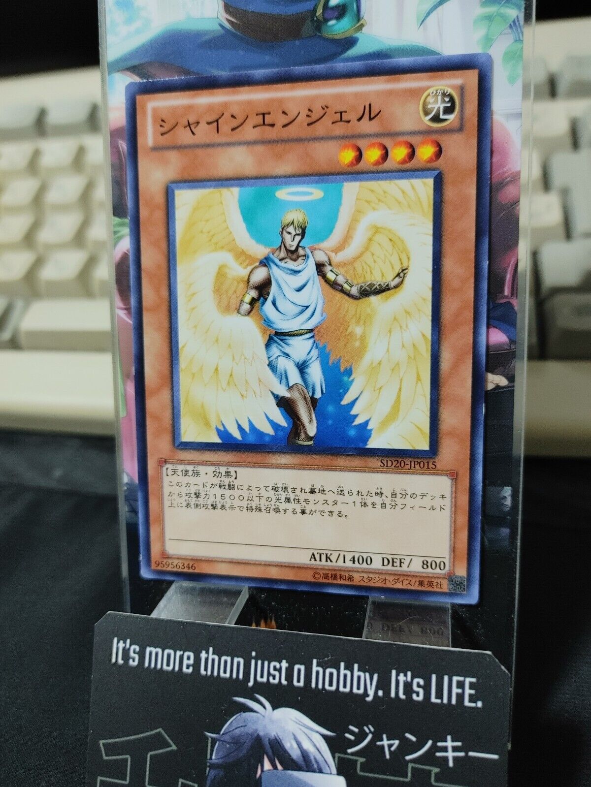 Shining Angel SD20-JP015 Yugioh OCG Yu-Gi-Oh JAPAN