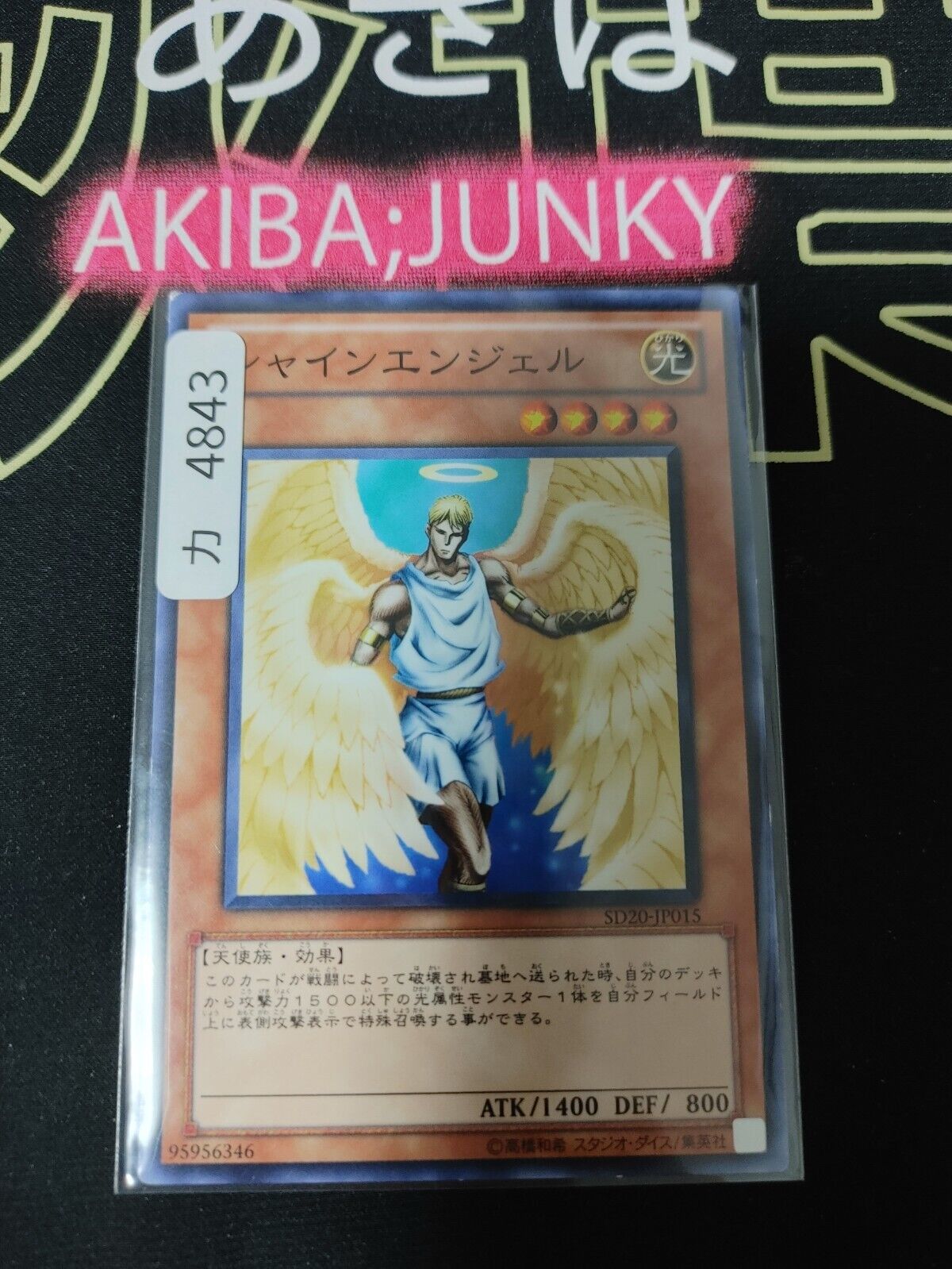 Shining Angel SD20-JP015 Yugioh OCG Yu-Gi-Oh JAPAN