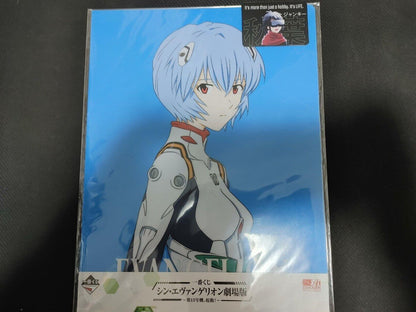 Anime Evangelion Rei Clear File Set Japan Limited Release