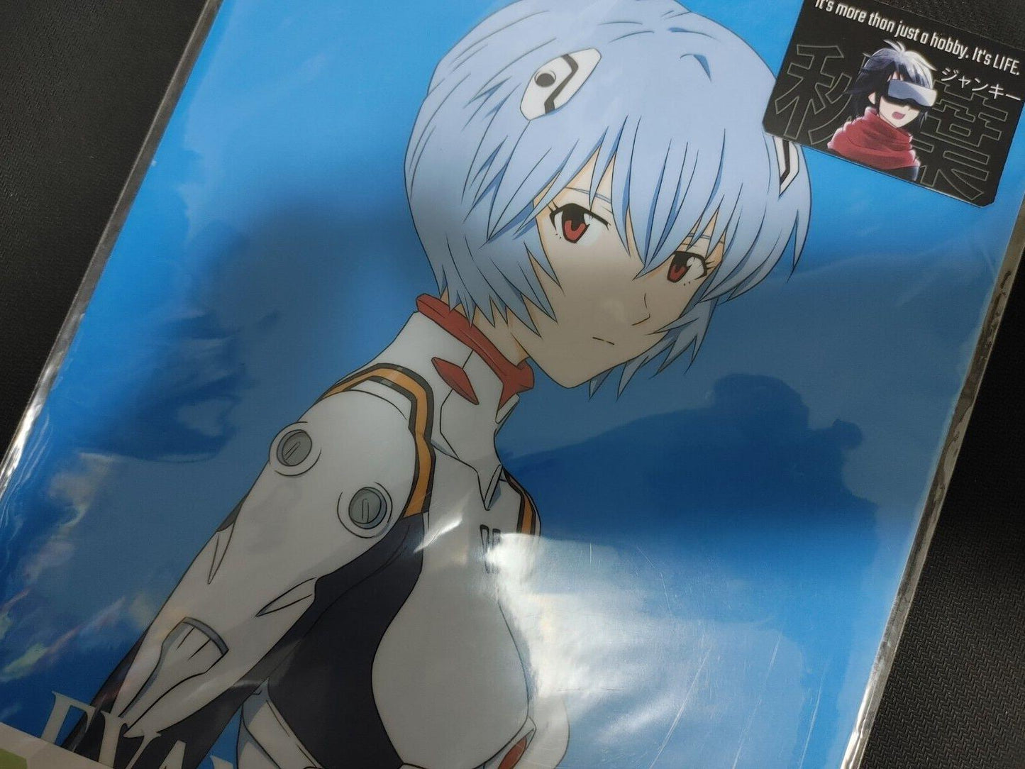 Anime Evangelion Rei Clear File Set Japan Limited Release