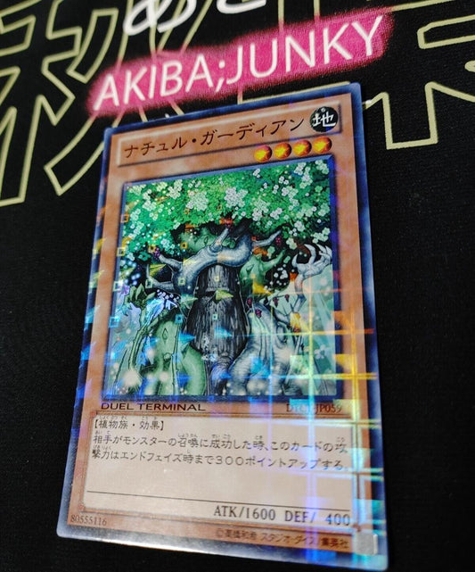 Naturia Guardian DTC1-JP059 Super Rare Yugioh OCG JAPAN